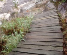 Parte da ponte que leva à cachoeira da Ponte de Pedra e ao mirante do Parque Guartelá caiu.