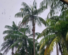 Por precaução em razão da chuva, três parques da região de Curitiba ficarão fechados neste fim de semana.
