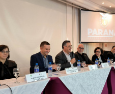 Reunião bipartite entre gestores de saúde é marcada por chamamento para Dia D