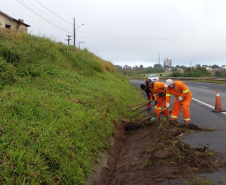 Conservação da faixa de domínio das rodovias estaduais prevê investimento de R$ 768,3 mi 