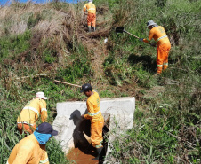 Conservação da faixa de domínio das rodovias estaduais prevê investimento de R$ 768,3 mi 