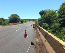 Conservação da faixa de domínio das rodovias estaduais prevê investimento de R$ 768,3 mi 