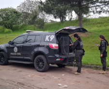 PCPR e PMPR prendem 20 pessoas ligadas ao tráfico de drogas no Centro de Curitiba 