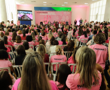 Primeira Dama e Darci