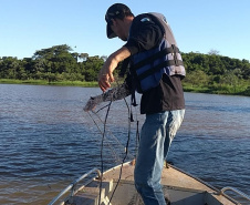 defeso da piracema, período de restrição à pesca de espécies nativas , começa nesta quarta-feira (1º) e vai até 28 de fevereiro