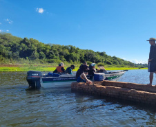 defeso da piracema, período de restrição à pesca de espécies nativas , começa nesta quarta-feira (1º) e vai até 28 de fevereiro