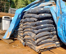 Danificado pela chuva, o viveiro do IAT em Pitanga perdeu cerca de 60% da produção de mudas.