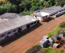 Com terraplanagem avançada, duplicação da PR-445 atinge a marca de 13% de execução