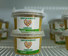 ALIMENTAÇÃO