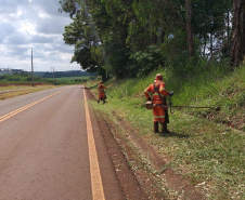 Conservação da faixa de domínio das rodovias estaduais prevê investimento de R$ 768,3 mi 