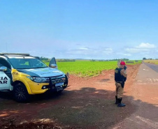 PMPR divulga balanço do feriados nas rodovias estaduais do Paraná