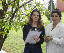 TECPAR OFERECE AO MERCADO VALIDAÇÃO DE INVENTÁRIOS DE CARBONO