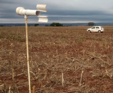 Alerta Ferrugem é retomado no Paraná