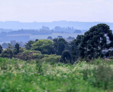 Caminhadas na Natureza IDR