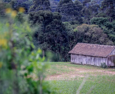 Caminhadas na Natureza IDR