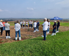 Adoção de boas práticas agrícolas comemora 10 anos de resultados no Paraná, com redução de mais de 50% no uso de inseticidas