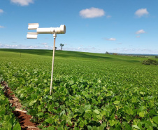 Adoção de boas práticas agrícolas comemora 10 anos de resultados no Paraná, com redução de mais de 50% no uso de inseticidas