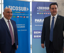 ZICOSUR