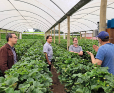 Projeto de pesquisa vai testar tecnologia para diminuir desperdício de água na irrigação