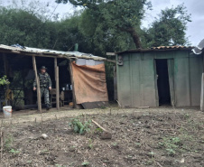 Fiscais do IAT encontraram três ranchos que serviam de alojamento para caçadores às margens do Rio Tibagi, em Ponta Grossa.