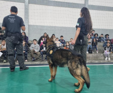 PCPR NA COMUNIDADE CASTRO