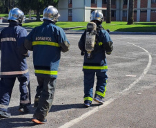 Bombeiros do Paraná encaram desafio solidário na 5ª Corrida do Fogo