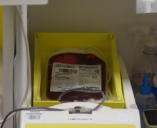 SESA DIA DO DOADOR DE SANGUE