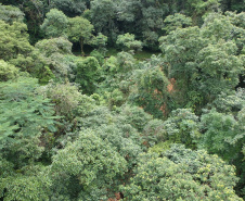 DER/PR vai mapear as áreas de risco da Estrada da Graciosa