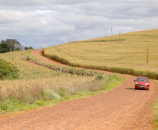 ESTRADA RURAL