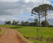 ESTRADA RURAL