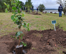 IAT é finalista de dois prêmios nacionais com o projeto Parques Paraná e o App Paraná Mais Verde