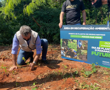 IAT é finalista de dois prêmios nacionais com o projeto Parques Paraná e o App Paraná Mais Verde