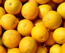 AGRICULTURA