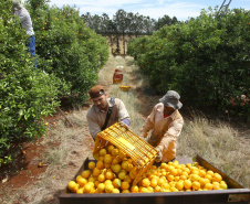 AGRICULTURA