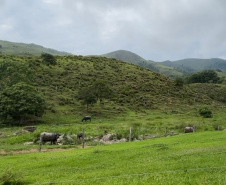 O Instituto Água e Terra (IAT) finalizou nesta sexta-feira (24) operação de fiscalização na região do Parque Estadual das Lauráceas, localizado em Adrianópolis e Tunas do Paraná.