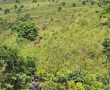 O Instituto Água e Terra (IAT) finalizou nesta sexta-feira (24) operação de fiscalização na região do Parque Estadual das Lauráceas, localizado em Adrianópolis e Tunas do Paraná.