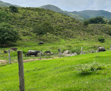 O Instituto Água e Terra (IAT) finalizou nesta sexta-feira (24) operação de fiscalização na região do Parque Estadual das Lauráceas, localizado em Adrianópolis e Tunas do Paraná.