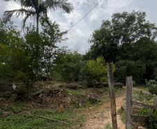 O Instituto Água e Terra (IAT) finalizou nesta sexta-feira (24) operação de fiscalização na região do Parque Estadual das Lauráceas, localizado em Adrianópolis e Tunas do Paraná.