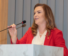 SEMIPI AÇÕES MULHERES