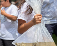 IAT SOLTURA PEIXES