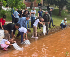 IAT SOLTURA PEIXES