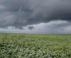 SEAB BOLETIM AGRO CHUVA