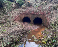 Rodovia de Cruzeiro do Oeste vai receber novo sistema de drenagem de águas da chuva 