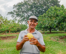 GOIABA
