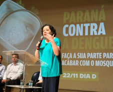DENGUE