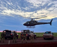 Forças policiais apreendem 3,2 toneladas de maconha em Foz do Iguaçu e Guaíra