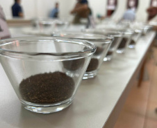 Evento em Mandaguari anuncia melhores cafés do Paraná