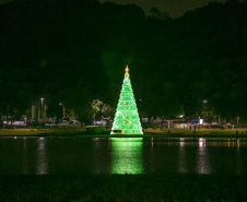 NATAL