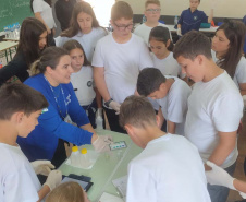 Sanepar realiza ações de sustentabilidade com estudantes em manancial de Bituruna