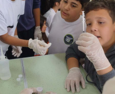 Sanepar realiza ações de sustentabilidade com estudantes em manancial de Bituruna